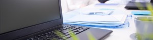Webinar